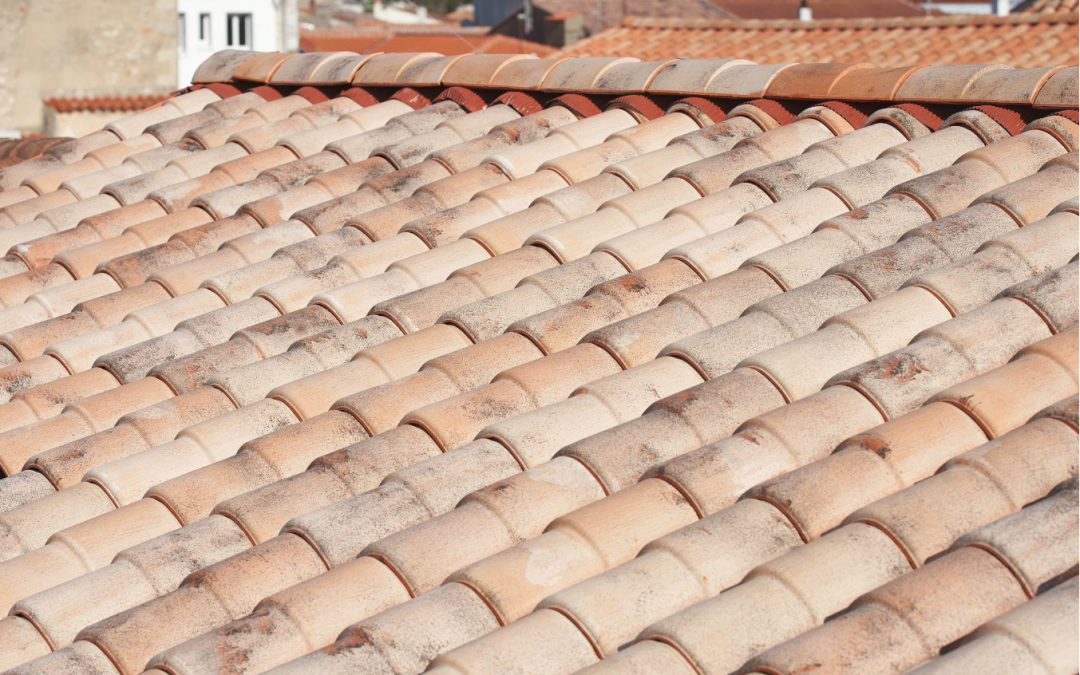 Comment choisir le matériau de toiture adapté à votre maison à Royan