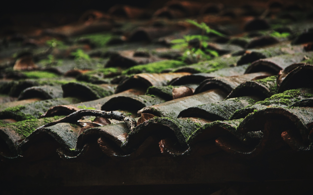 Les signes que votre toiture à Royan a besoin de réparation