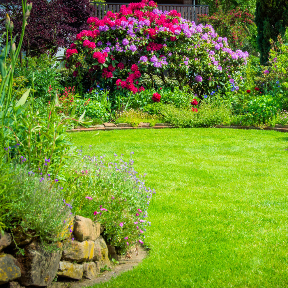 création de jardin sur-mesure par le Groupe Quetzal