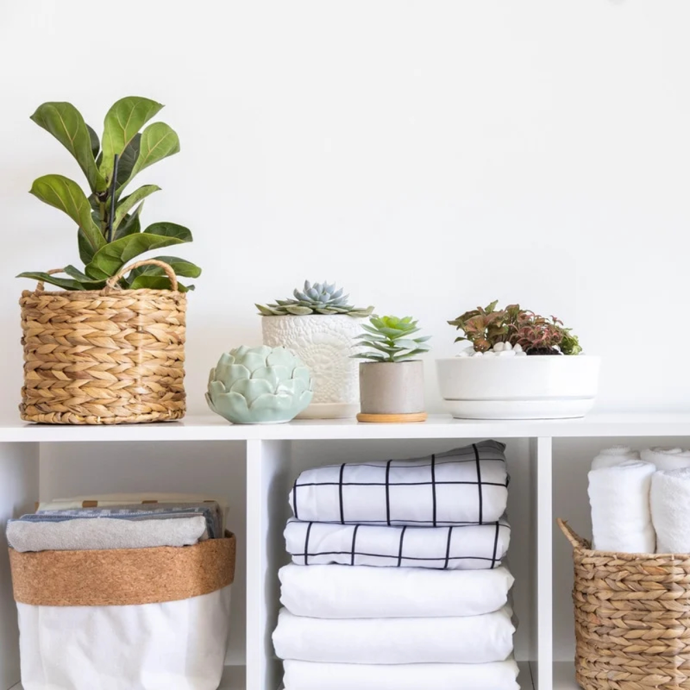 entretien du logement à domicile